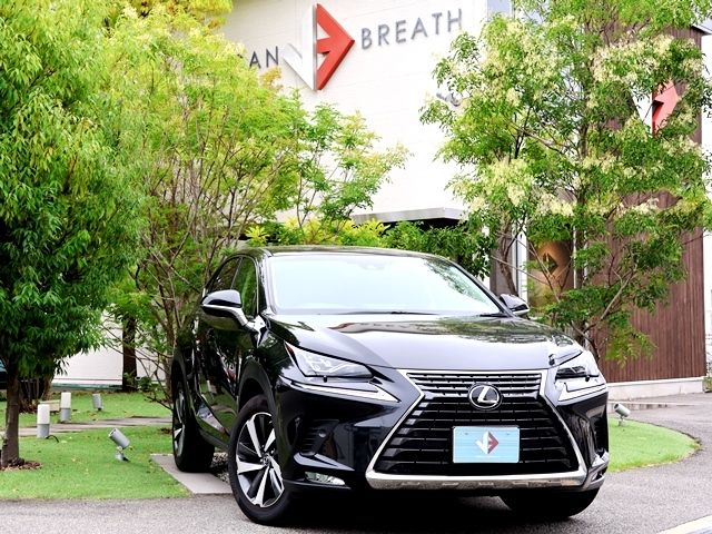 TOYOTA LEXUS NX300 2019