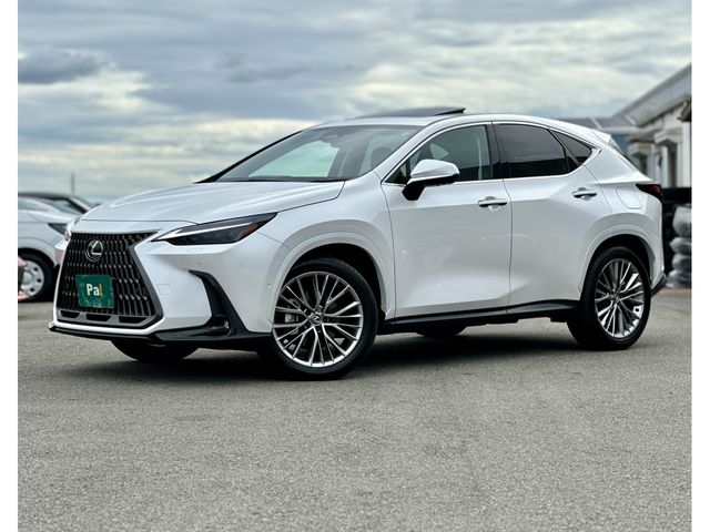 TOYOTA LEXUS NX350h 2024