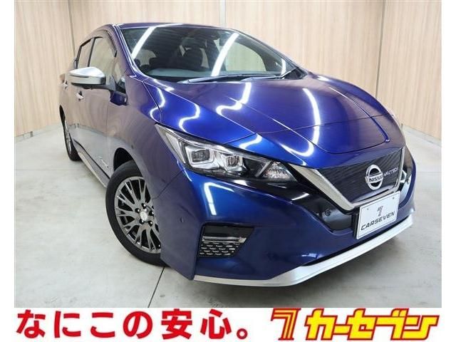 NISSAN LEAF 2019