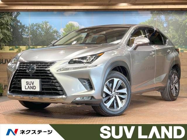 TOYOTA LEXUS NX300 2018