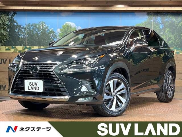 TOYOTA LEXUS NX300 2019