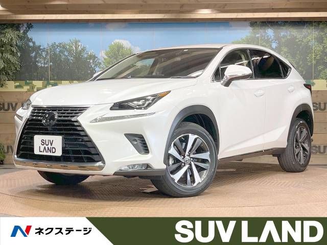 TOYOTA LEXUS NX300 2019