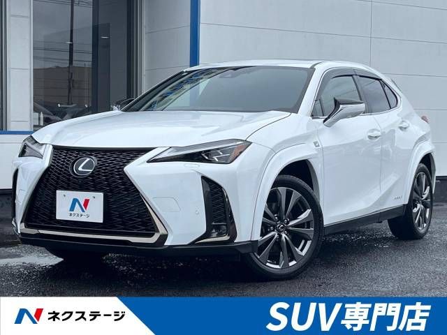 TOYOTA LEXUS UX250h 2021