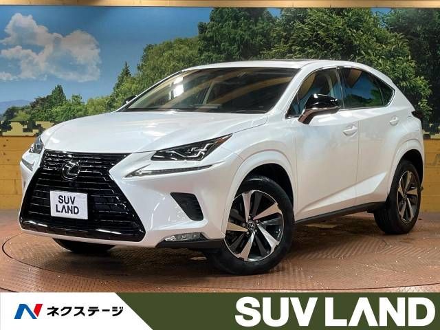 TOYOTA LEXUS NX300 2019