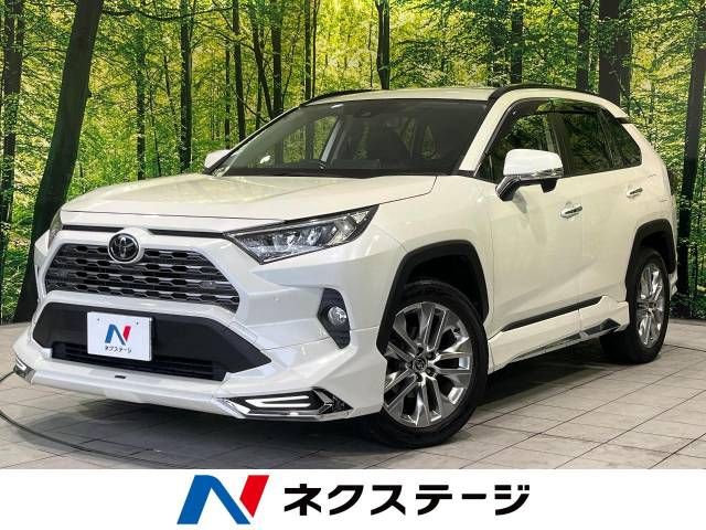 TOYOTA RAV4 4WD 2019