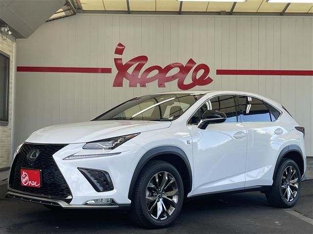 TOYOTA LEXUS NX300 2019