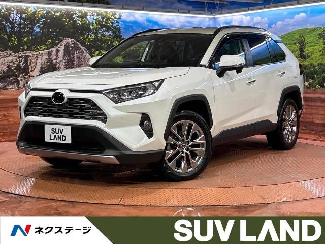 TOYOTA RAV4 4WD 2019