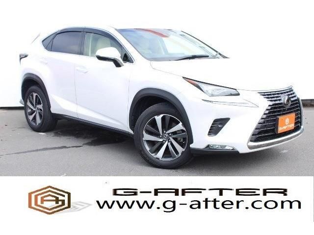 TOYOTA LEXUS NX300 2018