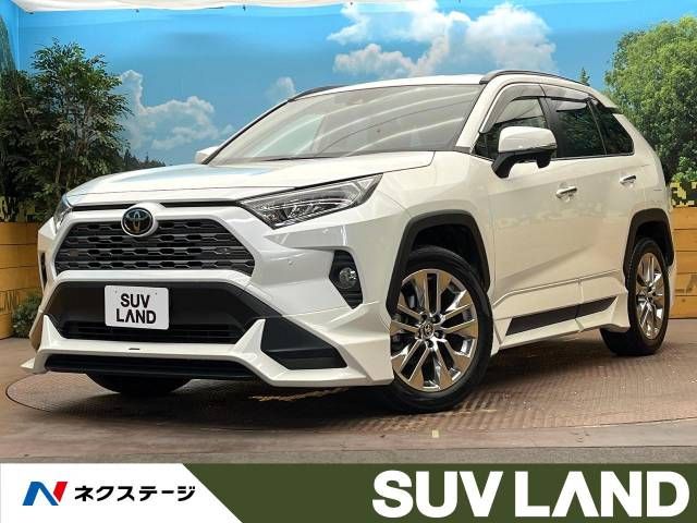 TOYOTA RAV4 4WD 2019