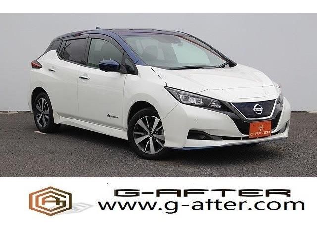 NISSAN LEAF 2020