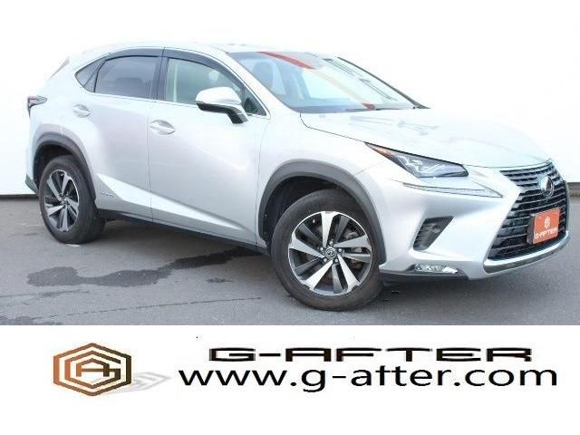 TOYOTA LEXUS NX300h 2018