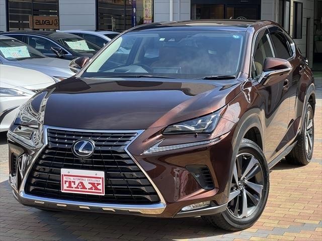 TOYOTA LEXUS NX300h 2019