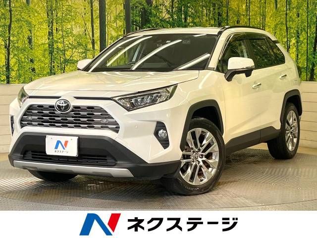 TOYOTA RAV4 4WD 2019