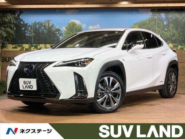 TOYOTA LEXUS UX250h 2020