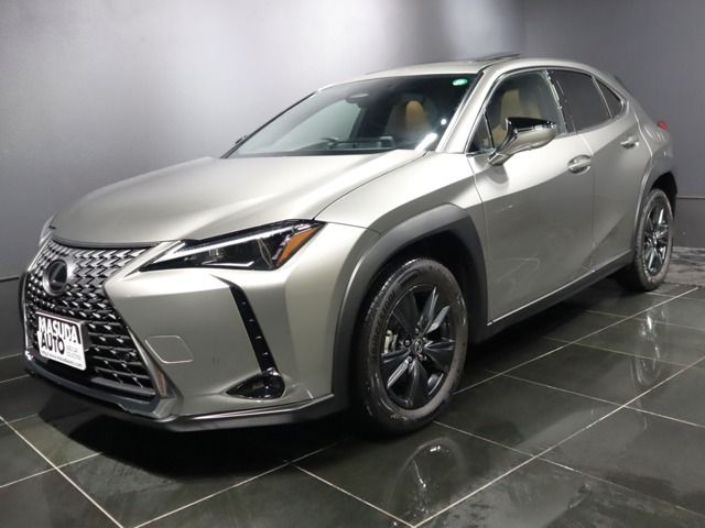 TOYOTA LEXUS UX300h 2024