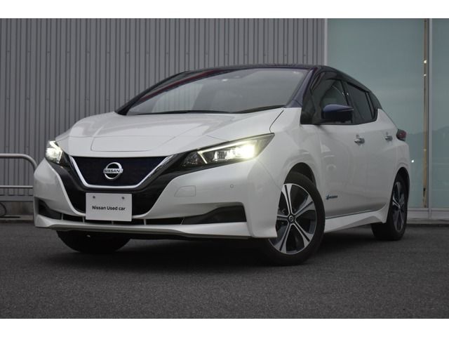 NISSAN LEAF 2019