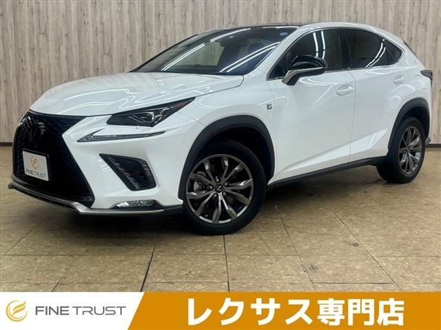 TOYOTA LEXUS NX300 2019