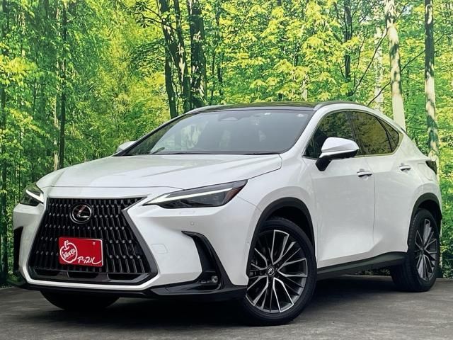 TOYOTA LEXUS NX350h AWD 2022