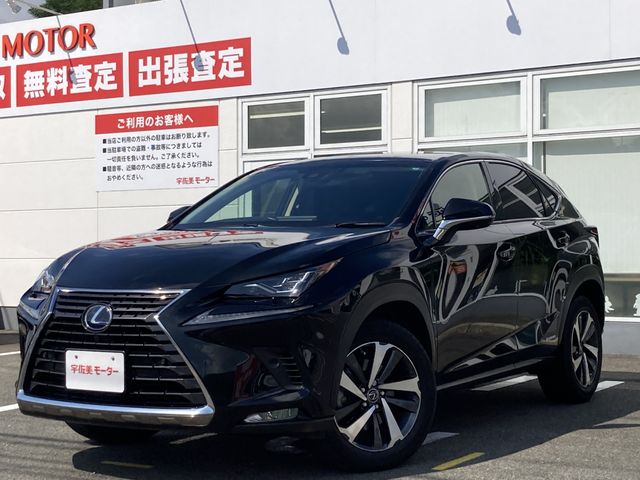 TOYOTA LEXUS NX300h 2019