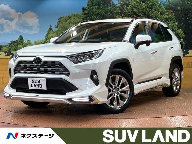 TOYOTA RAV4 4WD 2019