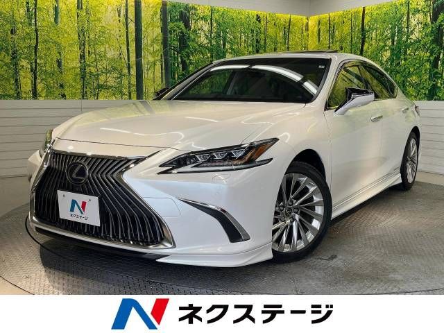 TOYOTA LEXUS ES300h 2019