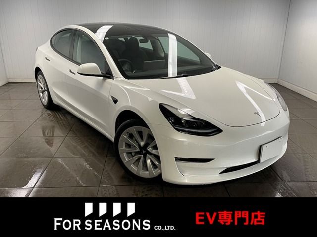 TESLA MODEL 3 2022