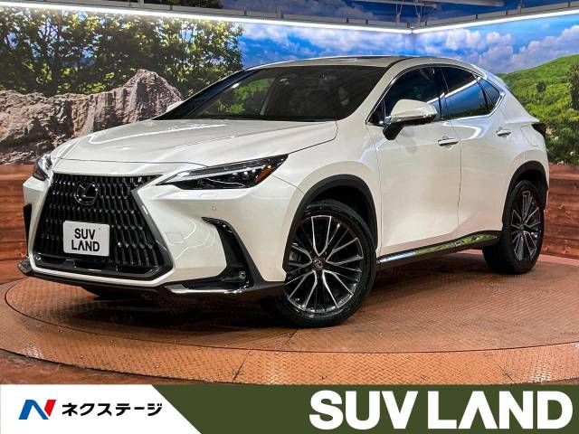 TOYOTA LEXUS NX350h 2022