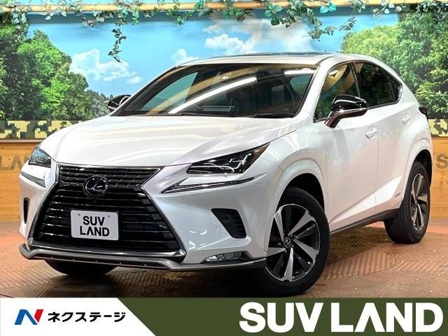 TOYOTA LEXUS NX300h 2021