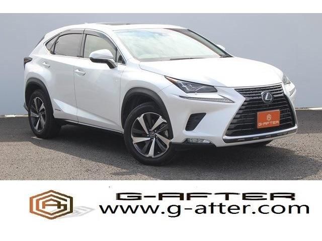 TOYOTA LEXUS NX300h 2018