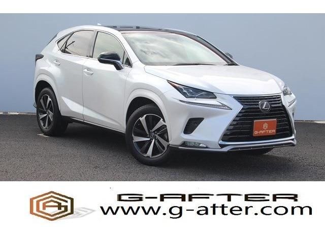 TOYOTA LEXUS NX300 2020