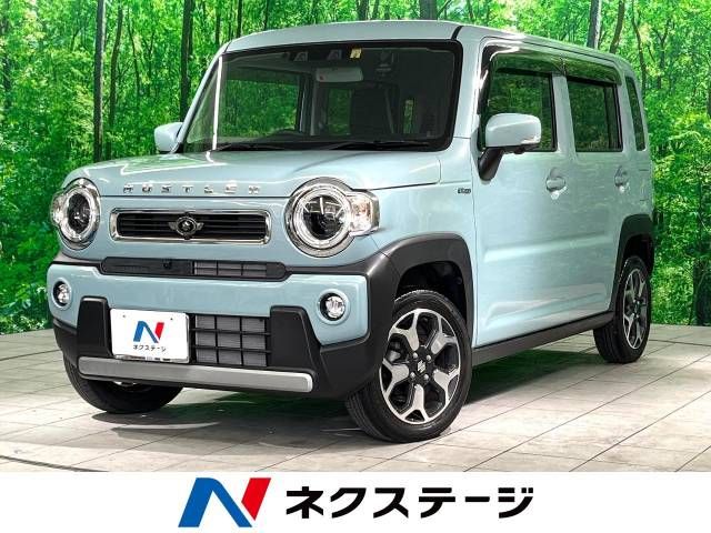 SUZUKI HUSTLER 2022