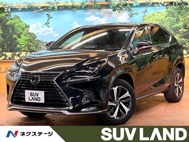 TOYOTA LEXUS NX300 2020