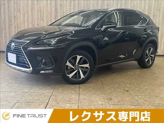 TOYOTA LEXUS NX300 2018