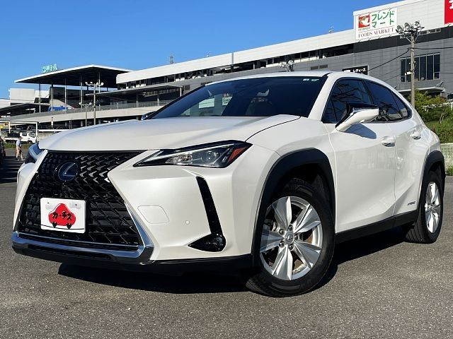 TOYOTA LEXUS UX250h 2022