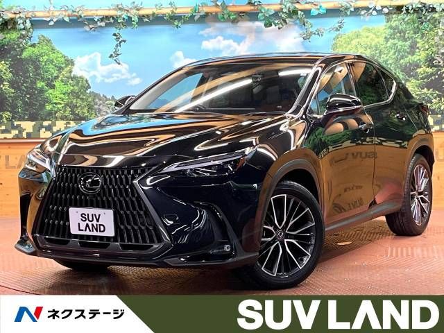 TOYOTA LEXUS NX250 2023