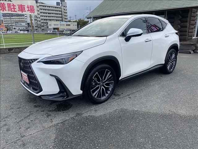 TOYOTA LEXUS NX350h 2023