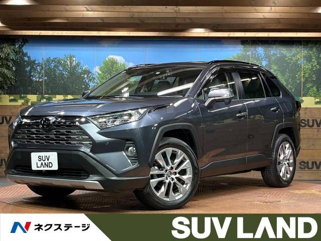 TOYOTA RAV4 4WD 2019