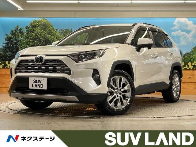 TOYOTA RAV4 4WD 2019