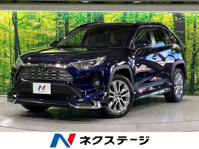 TOYOTA RAV4 4WD 2019