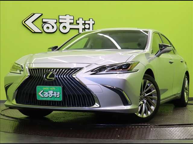 TOYOTA LEXUS ES300h 2019