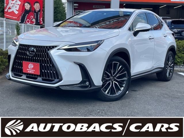 TOYOTA LEXUS NX250 2023