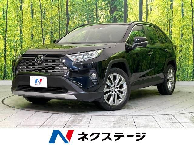 TOYOTA RAV4 4WD 2019