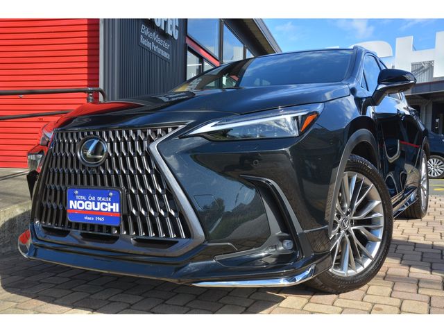 TOYOTA LEXUS NX250 2023