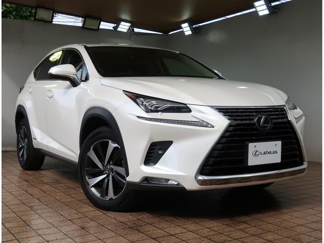 TOYOTA LEXUS NX300h 2019