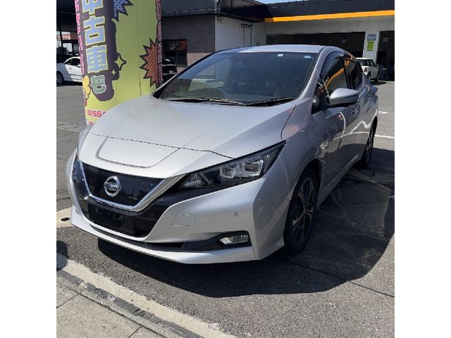 NISSAN LEAF 2018