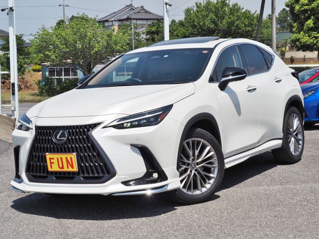 TOYOTA LEXUS NX450h+ AWD 2022