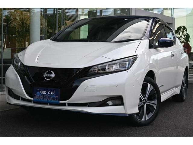 NISSAN LEAF 2022