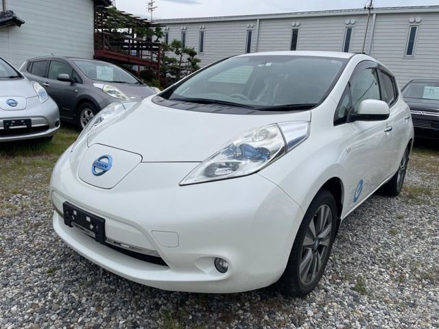 NISSAN LEAF 2013