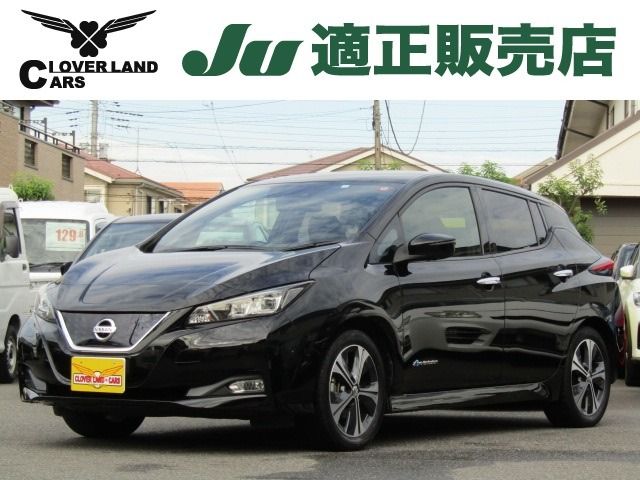 NISSAN LEAF 2018