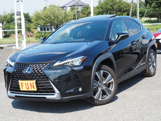 TOYOTA LEXUS UX300e 2021